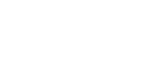 B2X White Logo